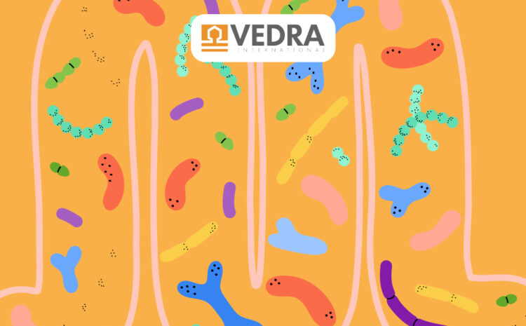  Date de logare – VEDRA_15 ianuarie 2025