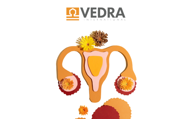  Date de logare – VEDRA_29ianuarie 2025
