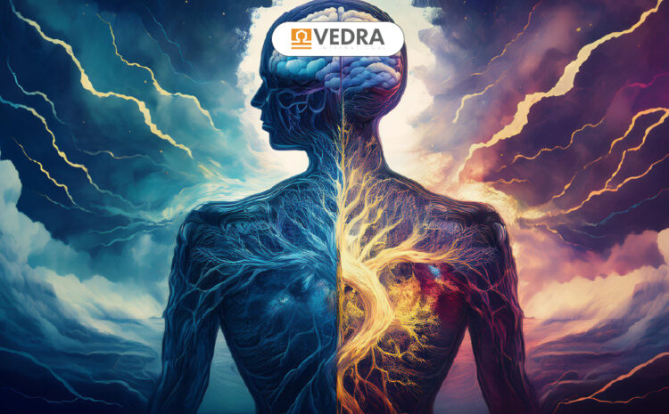  Date de logare – VEDRA_27februarie 2025
