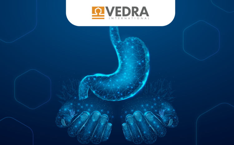  Date de logare – VEDRA_02Aprilie 2025