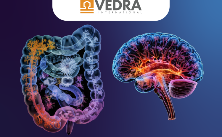  Date de logare – VEDRA_12martie 2025